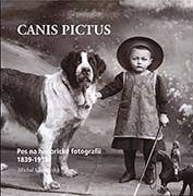 4 CANIS PICTUS